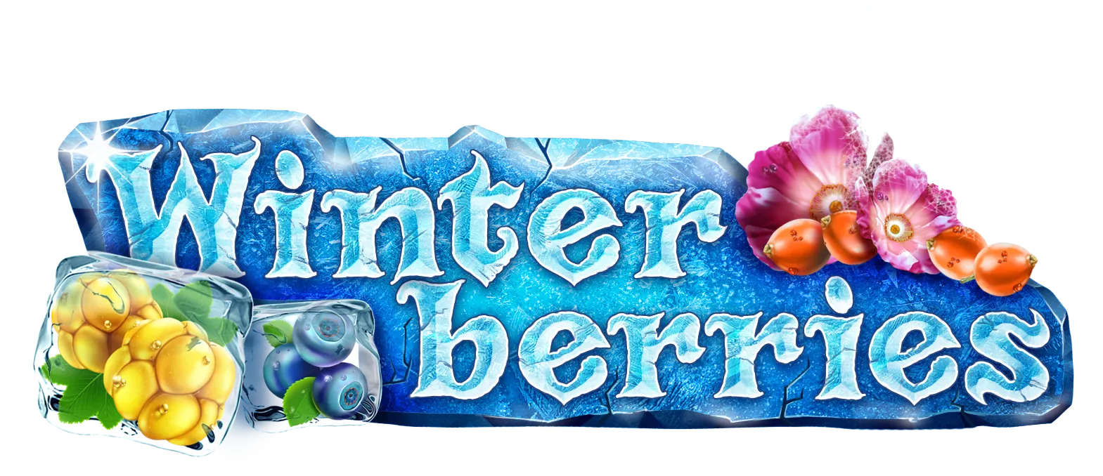 Winterberries logo